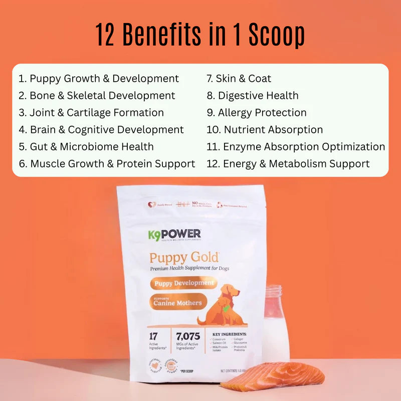 K9 Power Puppy Gold - 1lb