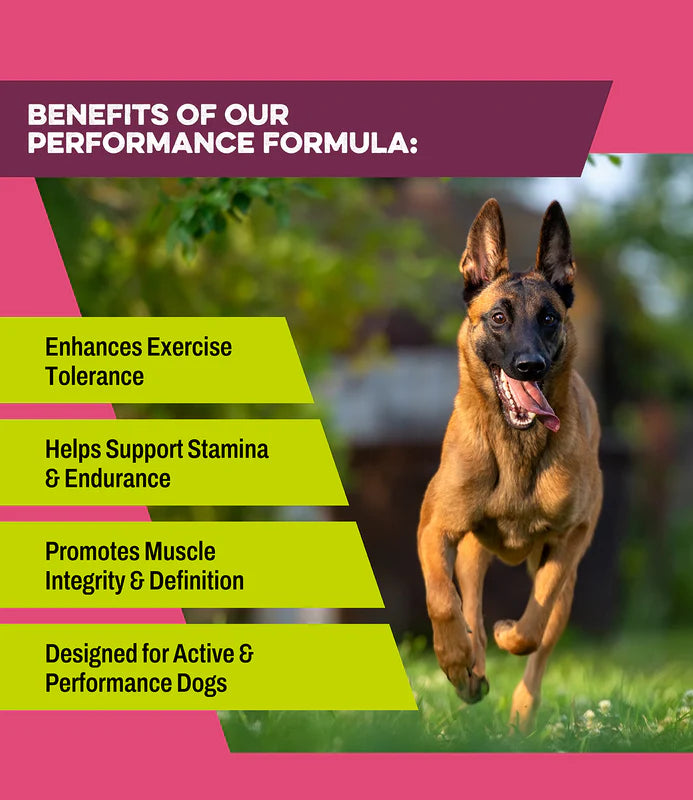 K9 Power Super Fuel - 1lb