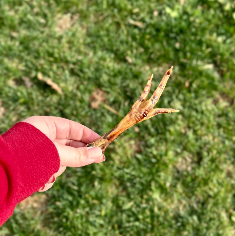 K-9 Kraving Dried Chicken Foot