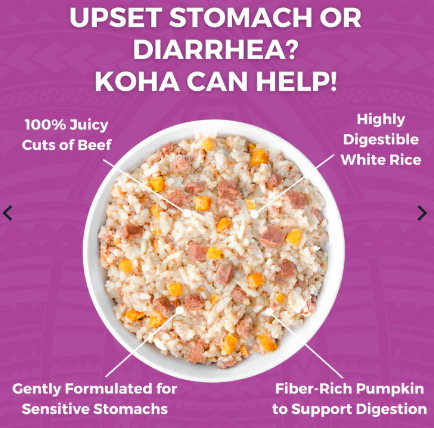 Koha Limited Ingredient Bland Diet - Beef & White Rice w/ Pumpkin