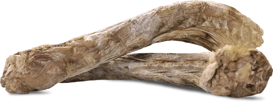 Vital Essentials Raw Bar Duck Neck