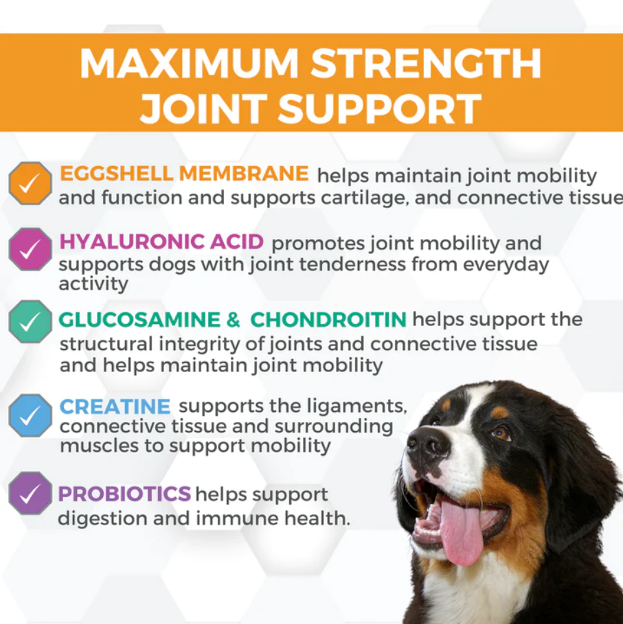Nootie Progility Hip & Joint Support MAX