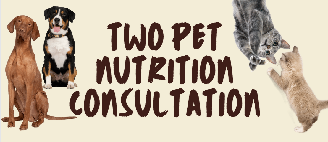 Two Pet Mixed Consultation