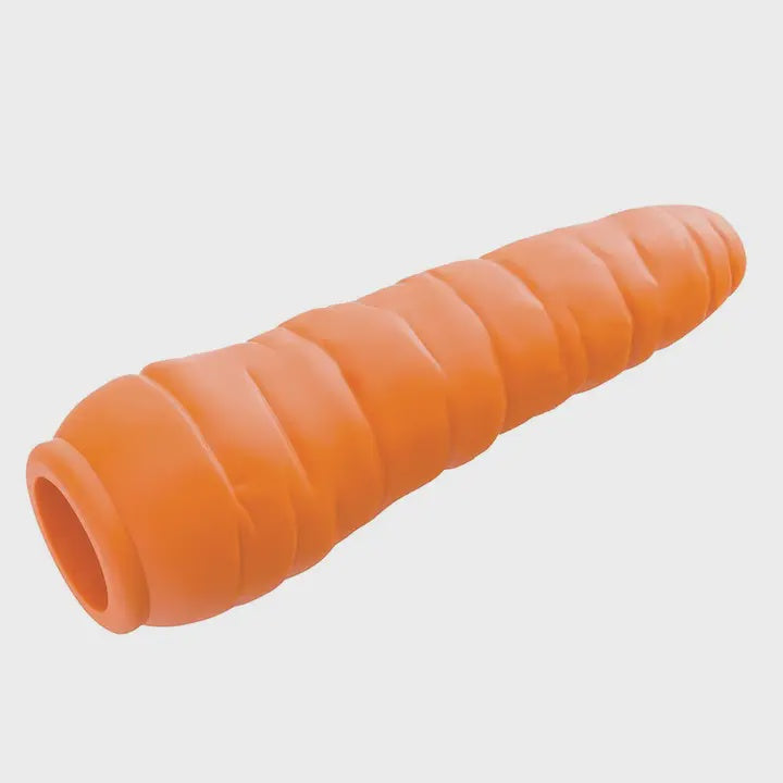 Outward Hound Planet Dog Carrot Treat Dispenser