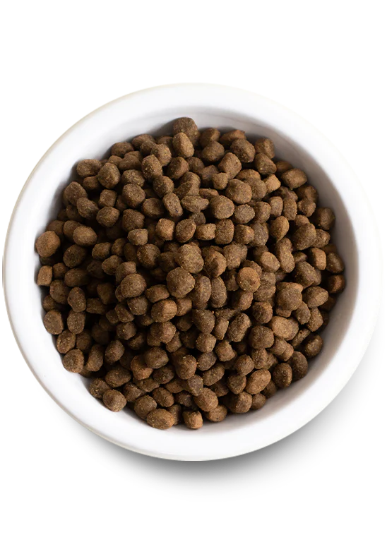 Open Farm Ancient Grains Puppy - Salmon and Sweet Potato 4lb Dry Dog Food