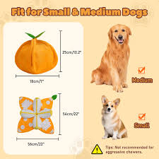 Orange Hide and Seek Plush Dog Toys