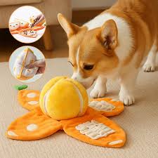 Orange Hide and Seek Plush Dog Toys