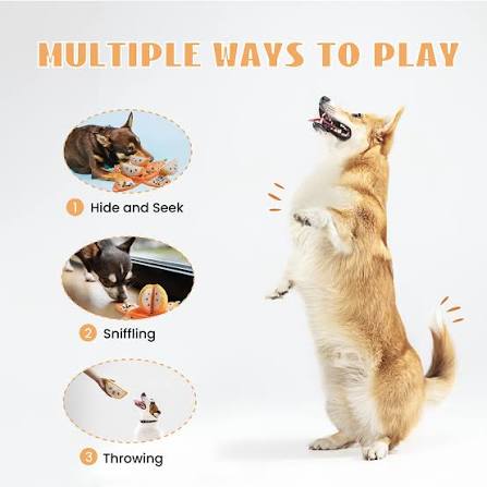 Orange Hide and Seek Plush Dog Toys