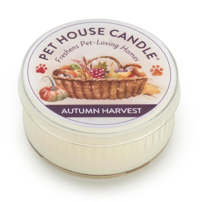 Pet House Candle - Fall Scents