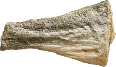 Vital Essentials Raw Bar Silver Carp Filet