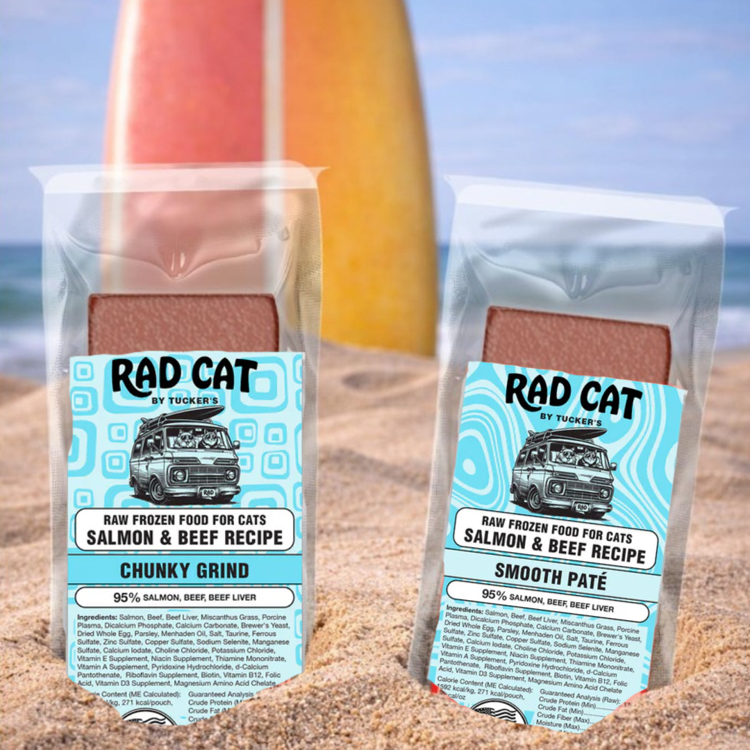Rad Cat Raw Frozen Salmon & Beef Recipe