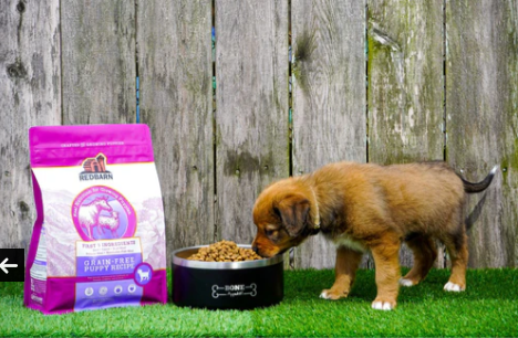 Redbarn Grain-Free Puppy Recipe