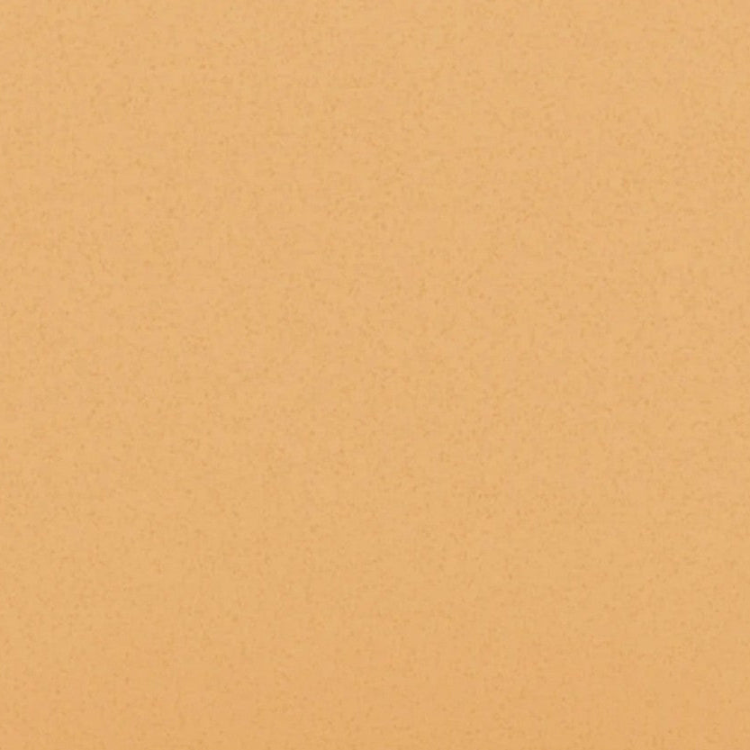 PRE-ORDER Ruff Land Performance Kennel - Peaches N Cream