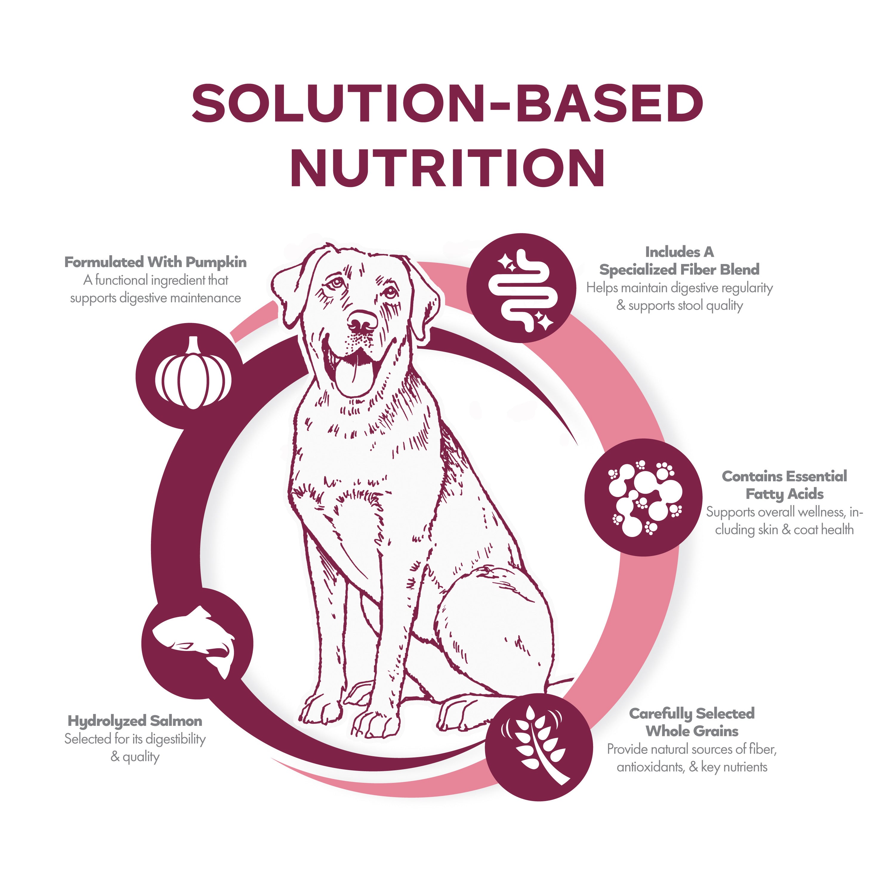Fromm Nutritionals Sensitive Skin & Stomach Salmon & Whole Oats Recipe