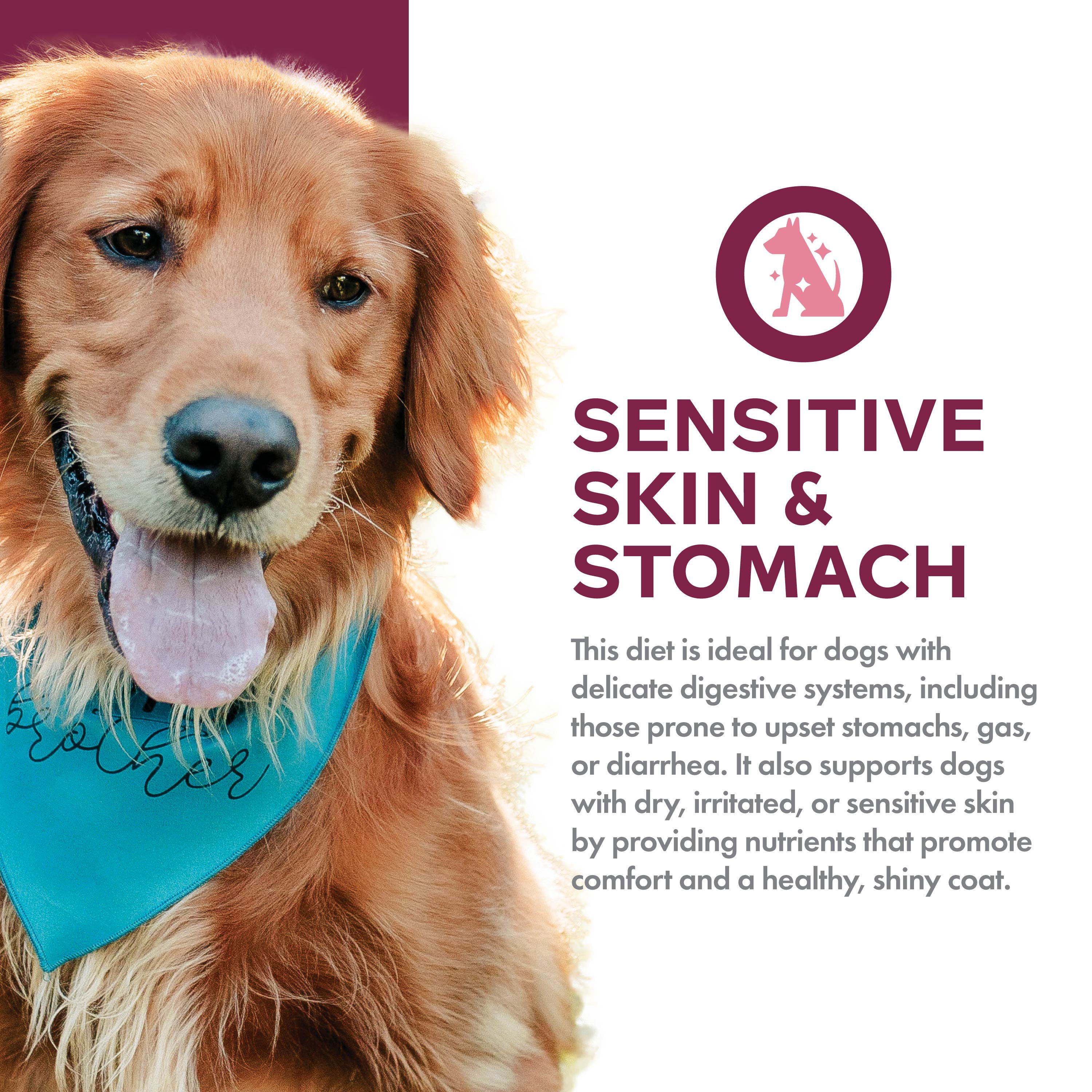 Fromm Nutritionals Sensitive Skin & Stomach Salmon & Whole Oats Recipe