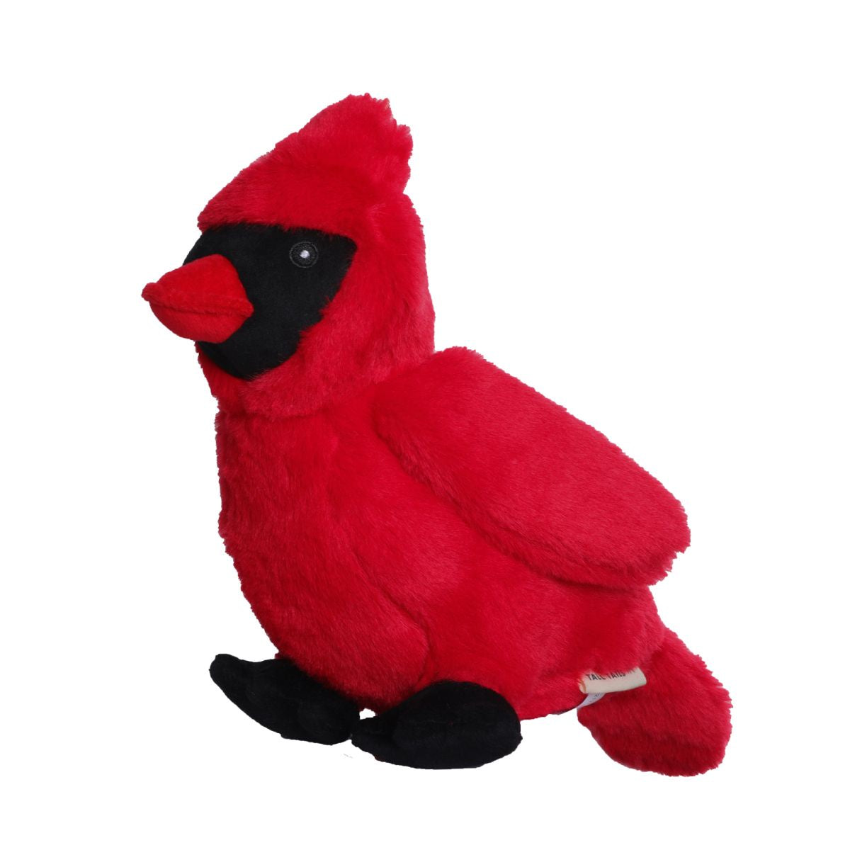 Tall Tails Animated Cardinal