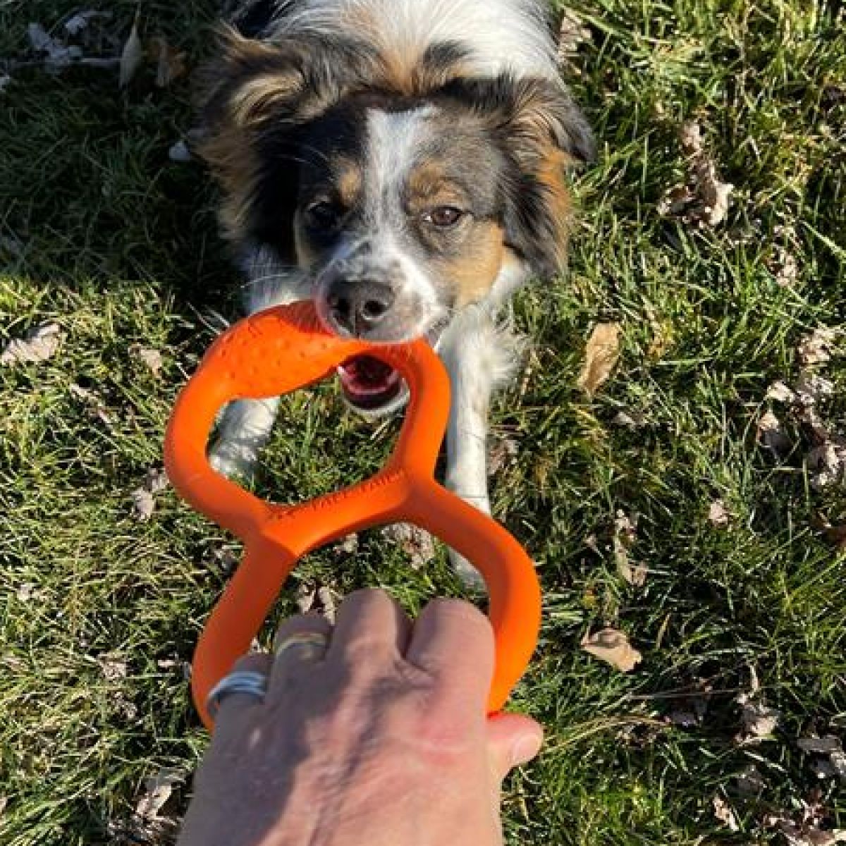 Tall Tails GOAT Sport Tug