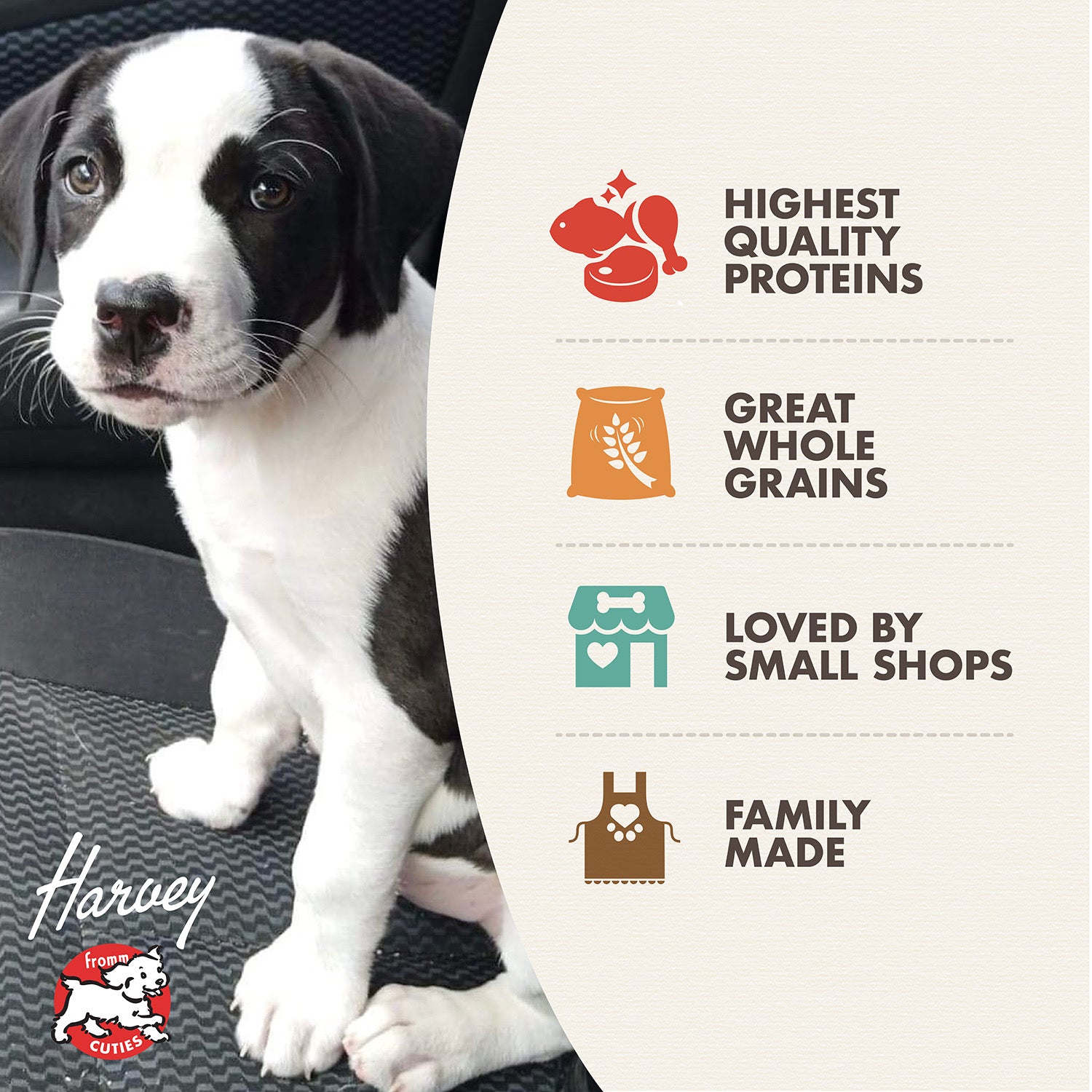 Fromm Puppy Gold