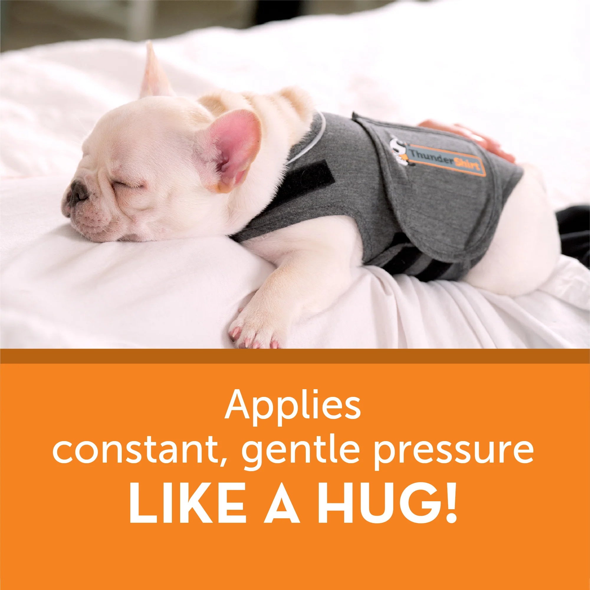 ThunderShirt for Dogs