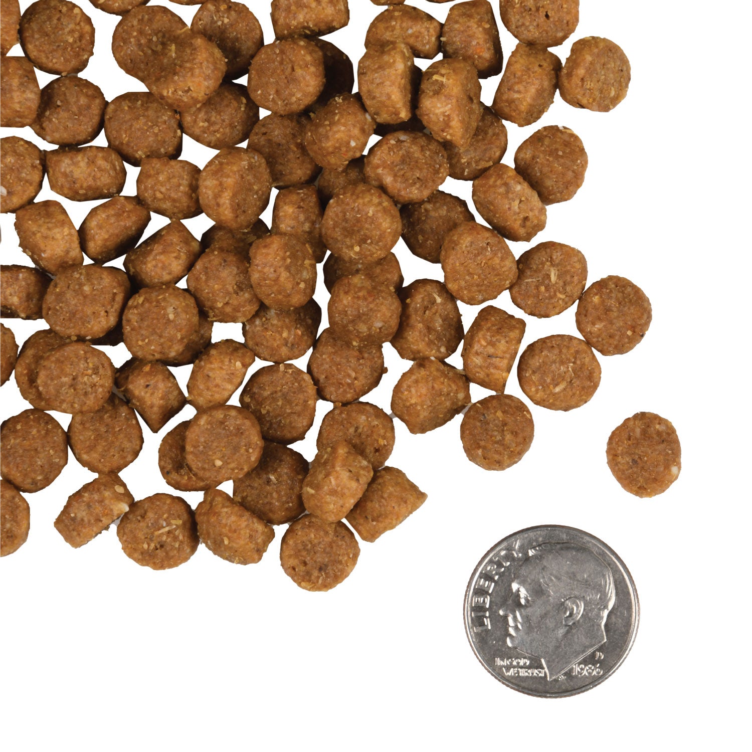 Fromm Puppy Gold