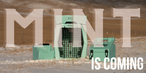 PRE-ORDER Ruff Land Performance Kennel - Mint