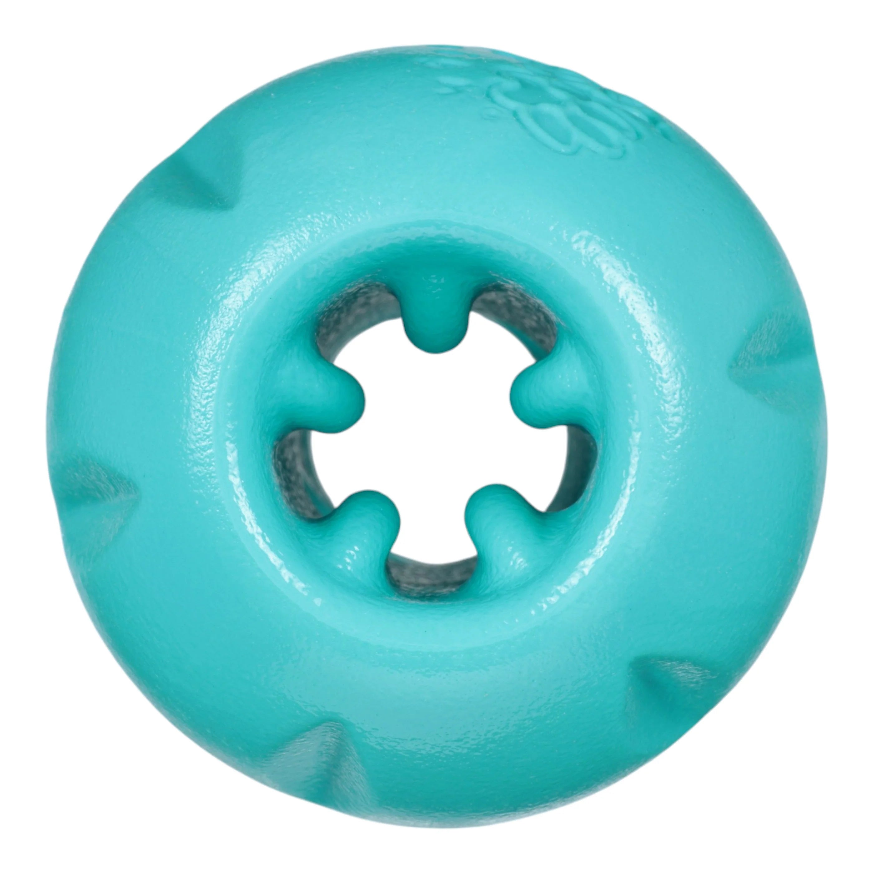 LIMITED EDITION West Paw Teal Qwizl