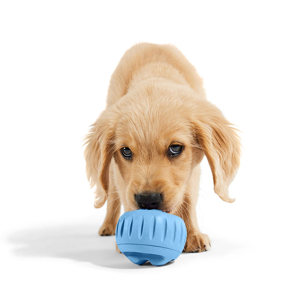 Pupsicle Treat Dispensing Toy