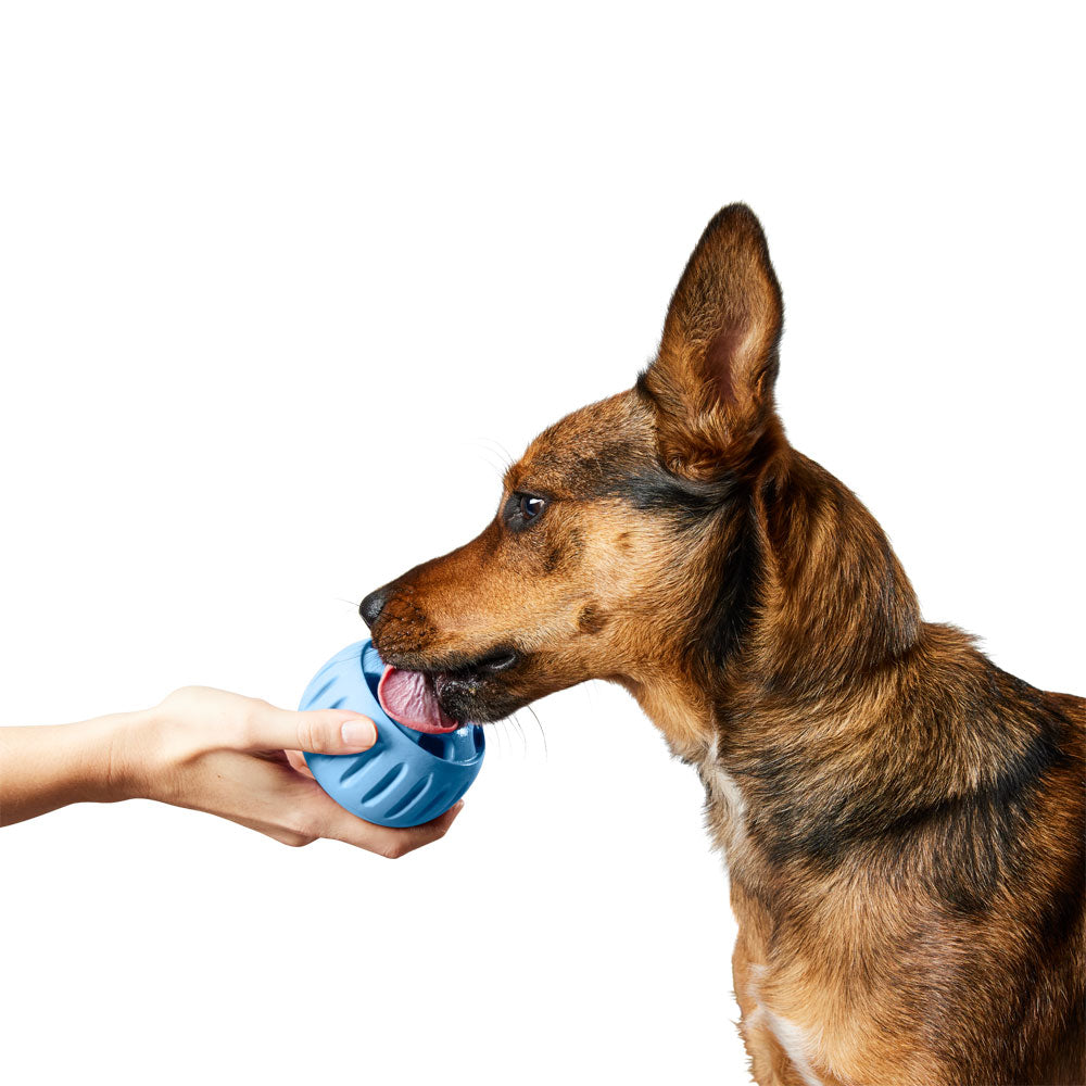 Pupsicle Treat Dispensing Toy