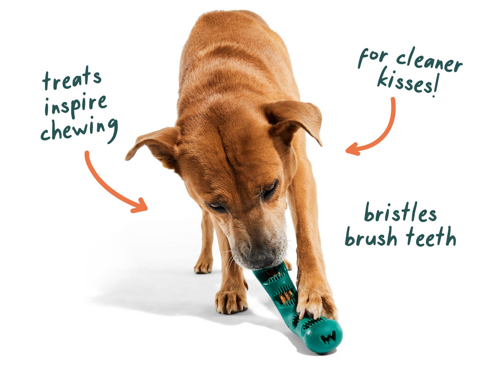 Woof Bite n' Brush Dental Toy