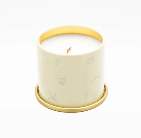 Companion Candles - You Got This!