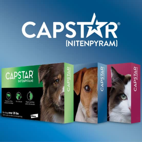 Capstar for Dogs