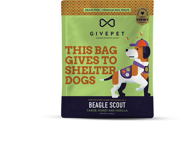 GivePet Beagle Scout