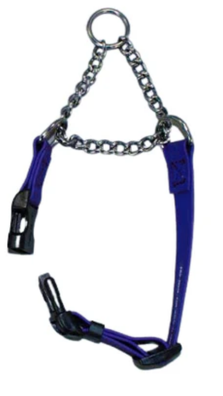 BioThane Martingale Collar with Snap