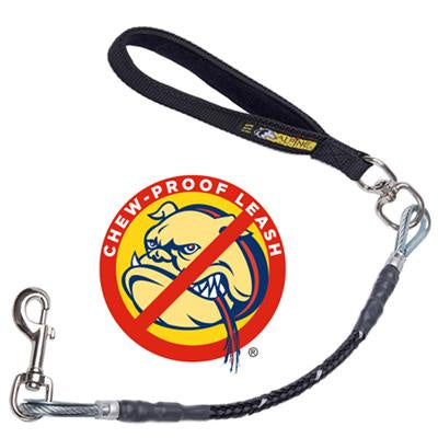 Alpine Outfitters Chew Proof 5' Leash
