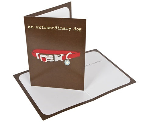 Dog is Good Extraordinary Dog Sympathy Card