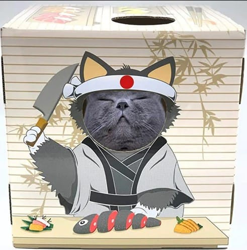 DoyenWorld Cat Sushi FunBox
