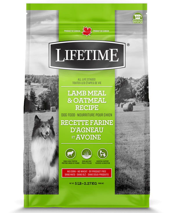 Lifetime Lamb and Oatmeal Dog Kibble