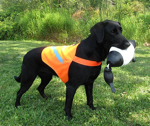 LCS Dog Safety Vest