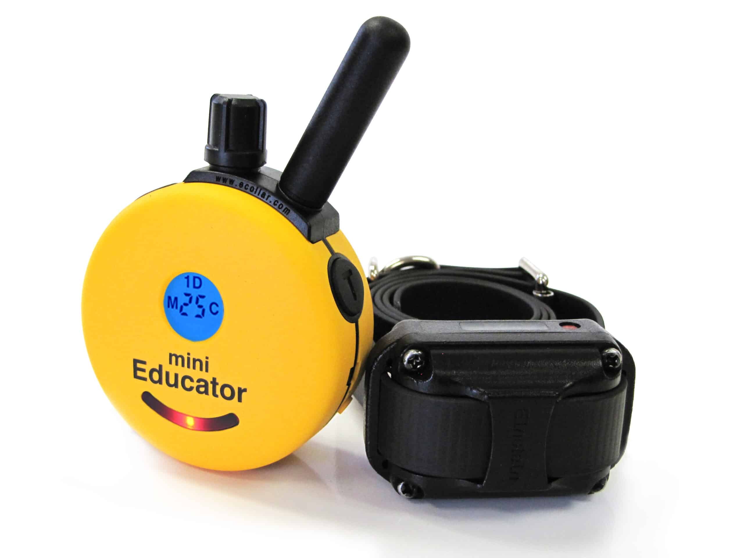 ET-300 Mini Educator