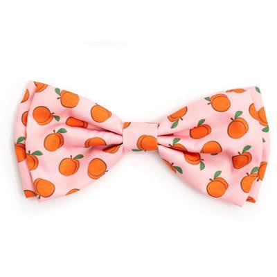 The Worthy Dog Bow Tie - Peachy Keen