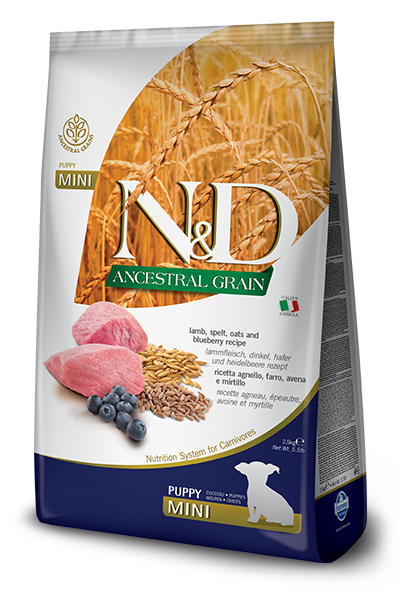 Farmina Ancestral Grain Lamb & Blueberry Recipe Puppy Dry Kibble