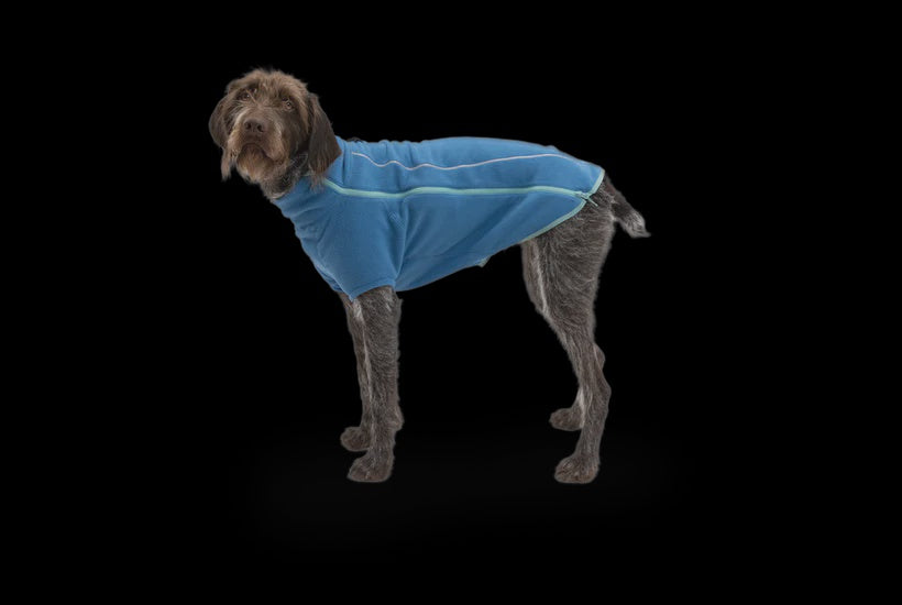 RuffWear Climate Changer Dog Fleece