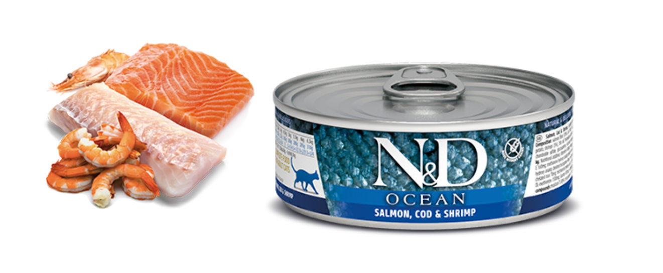 Farmina Ocean Salmon, Cod & Shrimp for Cats - 2.46 oz Can