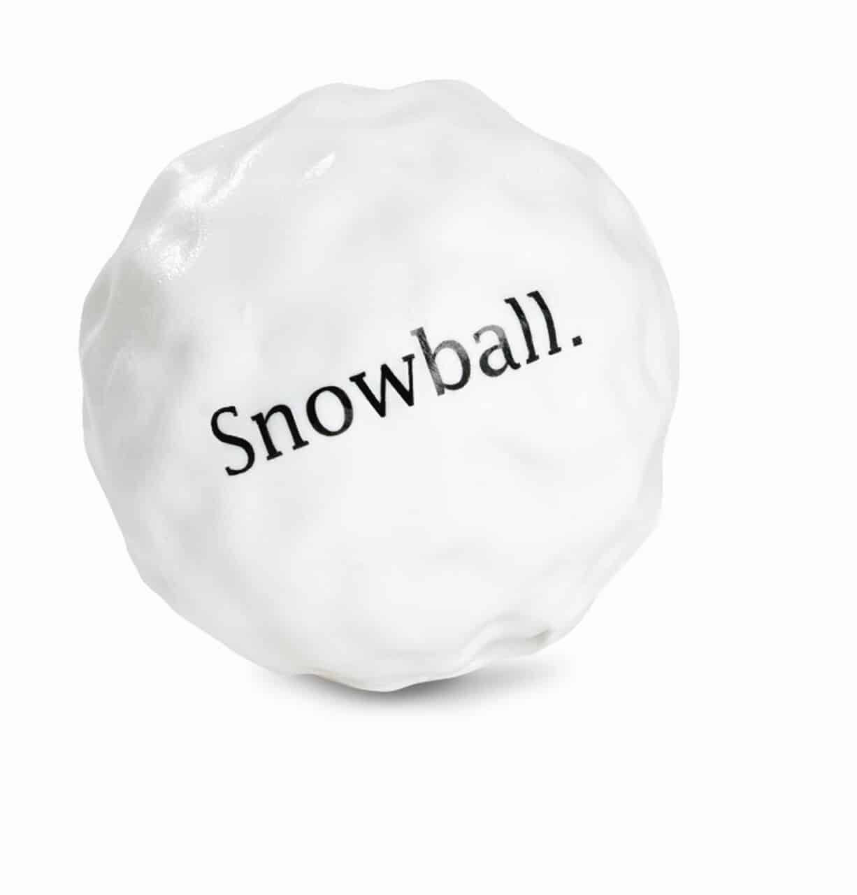 Outward Hound Planet Dog Snowball