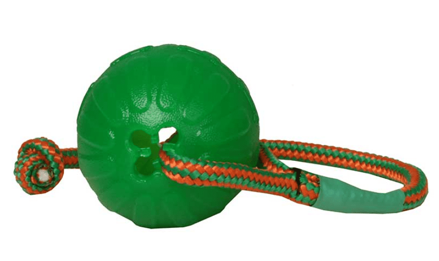 FDT Roll and Throw Chew Ball on a String