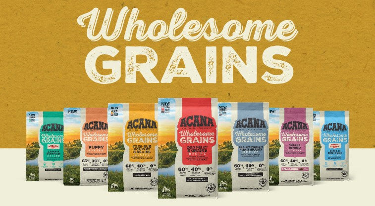 Acana Wholesome Grains Limited Ingredient Dog Kibble